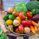 Image for article titled 10 Gardening Myths Keeping You From Better Veggies